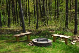 two benches and a fire pit in a forest at Donovans Dacha in McHenry