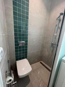 a bathroom with a toilet and a shower with green tiles at Studio El Jamil in Douar el Hafey