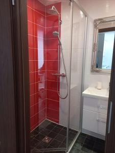 a bathroom with a shower with red tile at City center apartment in Klaipėda