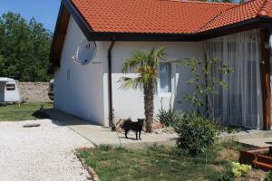 un chien debout devant une maison dans l'établissement Kemping pod figą, à Granichar