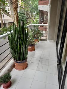 three potted plants are sitting on a porch at Departamento en Recoleta excelente in Buenos Aires