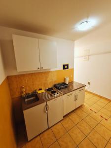 Kuchyň nebo kuchyňský kout v ubytování Guest house Davorka