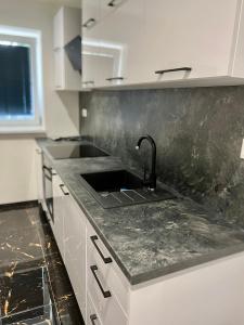 Kuchyň nebo kuchyňský kout v ubytování Apartmány Pískovna Assen