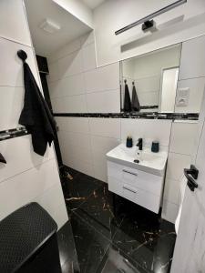 Koupelna v ubytování Apartmány Pískovna Assen