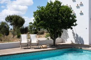 two chairs and a tree next to a swimming pool at Cucumbi in Santa Susana