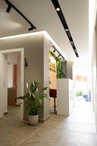 un ufficio con una pianta in mezzo a un corridoio di Hotel Luris a Golem