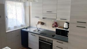 a small kitchen with a sink and a microwave at Casa Cretier in Aosta