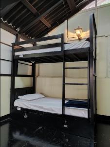 a couple of bunk beds in a room at Multiple Stories, Wayanad in Wayanad