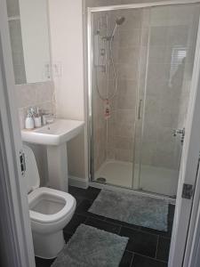 een badkamer met een douche, een toilet en een wastafel bij Burton House 