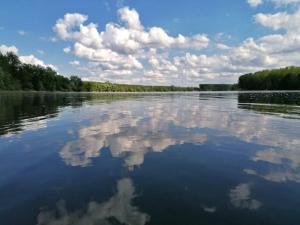 um grande corpo de água com nuvens na água em Sremac em Kupinovo