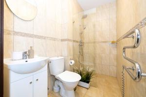 W łazience znajduje się toaleta, umywalka i prysznic. w obiekcie Apartamentai Malūno Vilos w Połądze