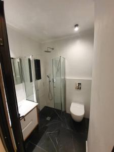 a bathroom with a shower and a toilet and a sink at Prime location apartment in TLV in Tel Aviv