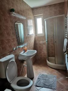 a bathroom with a toilet and a sink and a shower at Pensiunea Belladonna Baile Olanesti in Băile Olăneşti