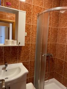 ein Bad mit einer Dusche und einem Waschbecken in der Unterkunft Apartmani Dubrava in Podstrana
