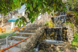 Zahrada ubytování Hotel Rumi Wasi