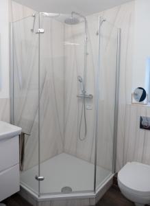a shower with a glass door in a bathroom at Apartment Graf in Bad Aibling