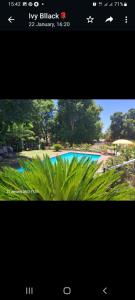 ein Bildschirmfoto eines Schwimmbeckens in der Unterkunft Falcon Lodge in Newcastle