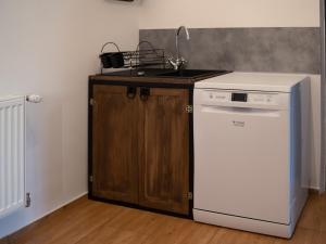 Kuchyňa alebo kuchynka v ubytovaní Apartament MT Badger Centrum