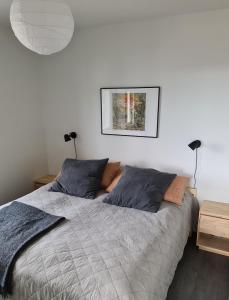 una camera da letto con un grande letto con due cuscini di Polar Charm A a Ylläs
