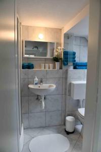 a bathroom with a sink and a toilet at Ferienwohnung über den Dächern von Oberelsbach in Oberelsbach +14 photos