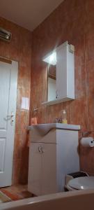 ein Bad mit einem Waschbecken und einem WC in der Unterkunft Apartman ,,Milica'' in Donji Milanovac