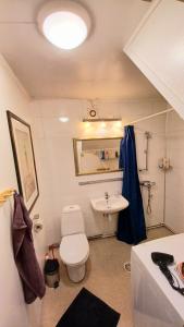 a bathroom with a white toilet and a sink at Tromso Coco Apartments in Center in Tromsø +39 photos