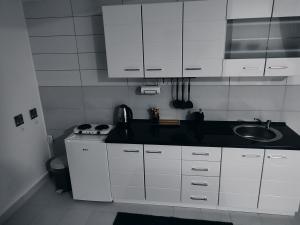 Kuhinja oz. manjša kuhinja v nastanitvi Apartman Katy