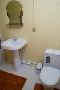 y baño con lavabo, aseo y espejo. en Ramanov Plyos Guest House, en Vladimir