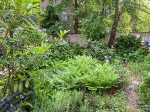 a garden with plants and trees and a fence at Zentral gelegen - stilvolles Appartment in Moabit in Berlin