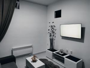 TV a/nebo společenská místnost v ubytování Apartman Katy