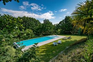 - une piscine dans la cour d'une maison dans l'établissement Villa Prendal Eco Living - Minho's Guest, à Guimarães
