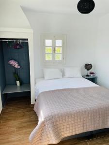 ein Schlafzimmer mit einem Bett und einem Fenster in der Unterkunft Alesta in Aggelika