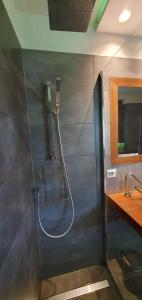 baño con ducha con manguera en la pared en Casa vacanze Tredis, en Nogaredo di Prato