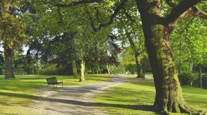 eine Bank, die in einem Park neben einem Baum sitzt in der Unterkunft For Students Only - The Valentine in London in Ilford