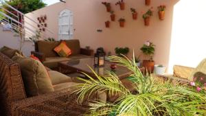 a living room with couches and potted plants at riad casa bahia asilah in Asilah