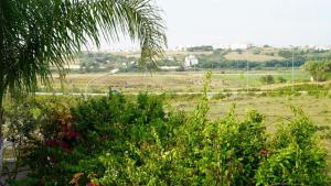 a view of a field with bushes and a tree at riad casa bahia asilah in Asilah