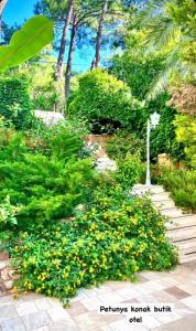 a garden with yellow flowers and bushes and stairs at Petunya Konak Boutique Hotel in Marmaris