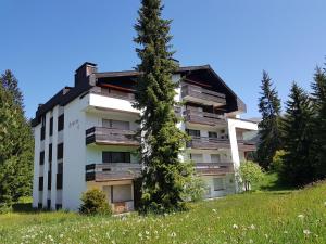 a building on a hill with a tree at Seegarten A 110 Wy in Lenzerheide