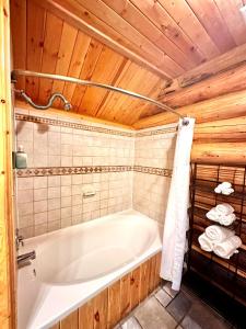 een badkamer met een bad in een cabine bij Hibernation Station in West Yellowstone