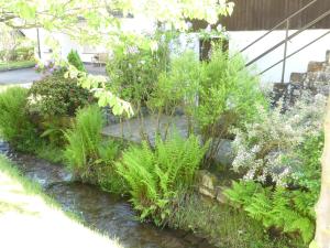 un jardin avec des plantes et un ruisseau dans l'établissement Villa Wolffsschlucht, à Hesseneck