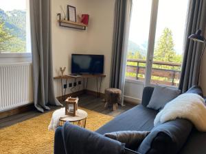 een woonkamer met een blauwe bank en een televisie bij Résidence les 3 Sommets in Sarcenas