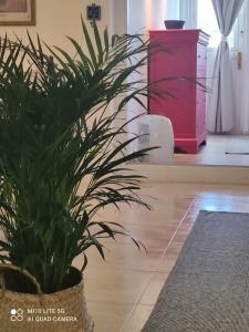 Fotografie z fotogalerie ubytování Casa con jardín v destinaci Costa Teguise