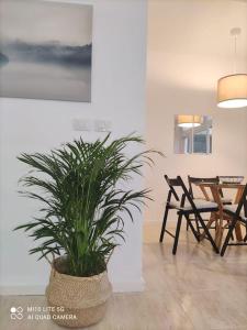 Fotografie z fotogalerie ubytování Casa con jardín v destinaci Costa Teguise