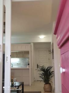 Fotografie z fotogalerie ubytování Casa con jardín v destinaci Costa Teguise
