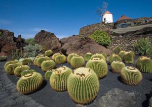 Fotografie z fotogalerie ubytování Casa con jardín v destinaci Costa Teguise