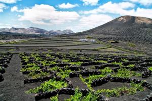 Fotografie z fotogalerie ubytování Casa con jardín v destinaci Costa Teguise