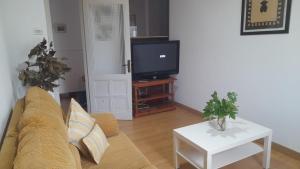 Televízia a/alebo spoločenská miestnosť v ubytovaní Corazón de Ponteareas