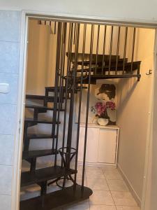 蒂科欽的住宿－Apartamet Gabriel，楼梯间内的一个螺旋楼梯