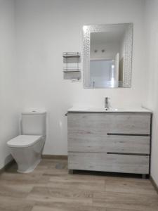 a bathroom with a sink and a toilet and a mirror at Apartamentos NayDa N4 de 2 habitaciones in Mérida