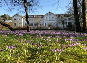 ヴァンガーオーゲにあるResidenz am Rosengarten 3 - Familienfreundliche, moderne Maisonettenwohnungの紫花畑
